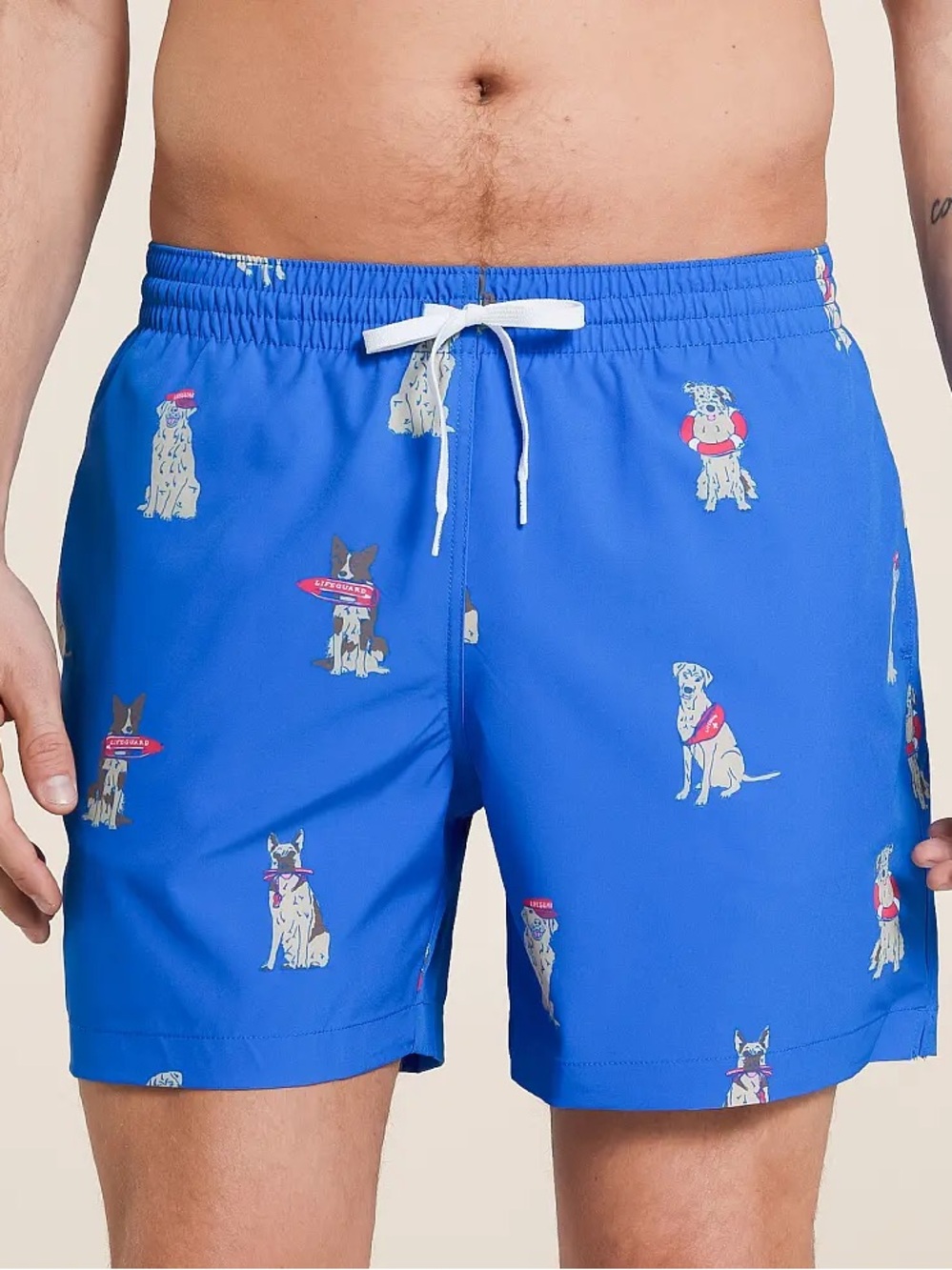 NWOT Chubbies “I Let The Dogs Out” Stretch Swim Trunks